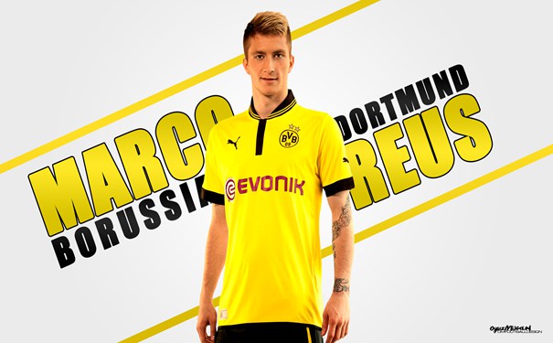 皇家塔马利联VSTF指数